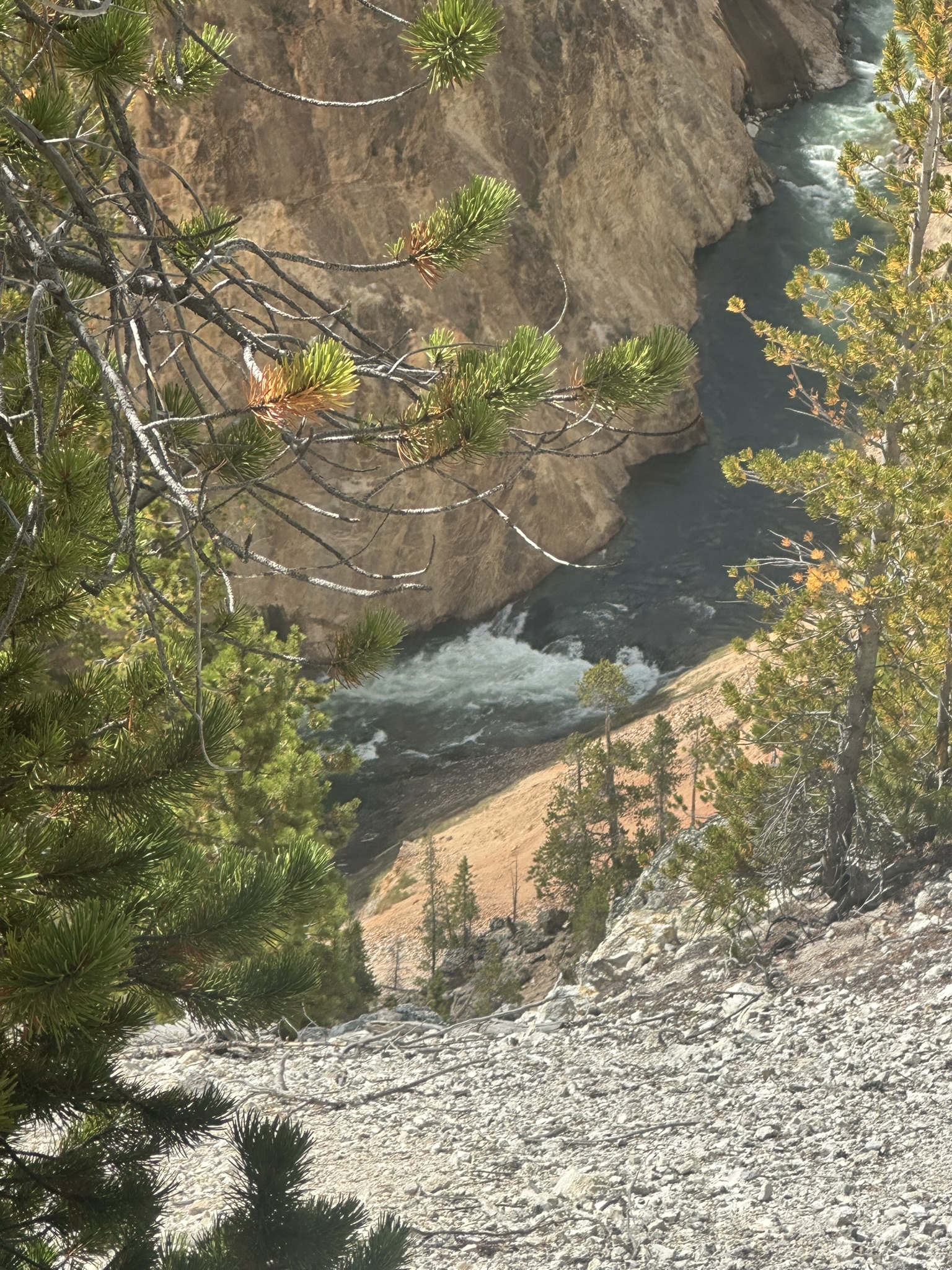 Yellowstone And Grand Teton National Parks - Image 470